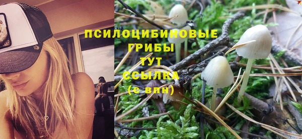 MDMA Premium VHQ Медвежьегорск